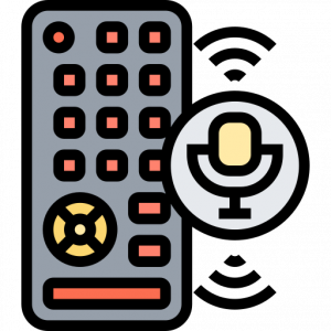 remote voice icon